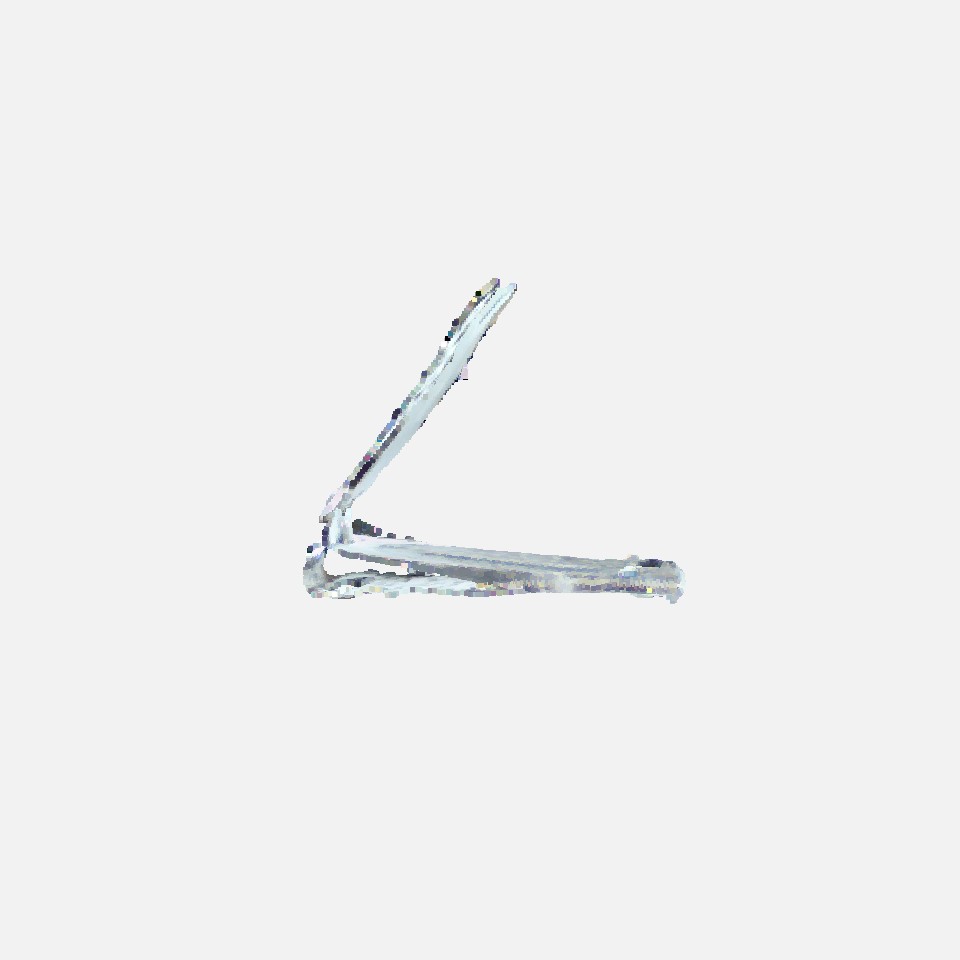 nailclippers17